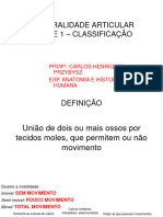 Aula Sistema Articular 240411 162348