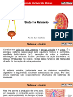 2024410_112948_6. Sistema Urinárino