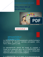 Psicopatologia de La Percepción: Universidad Cesar Vallejo