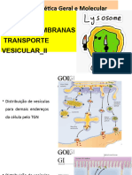 Aula - 12 - Transporte Vesicular - Ii