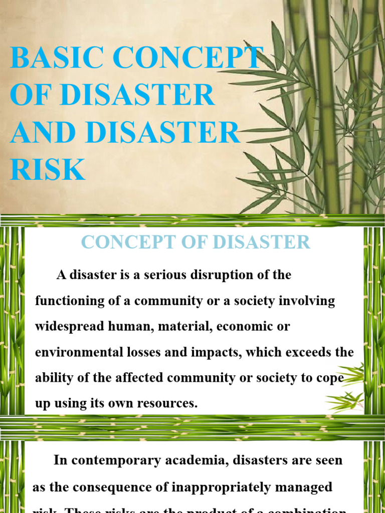 Understanding Disaster Risk and Resilience | PDF | Natural Disasters ...