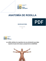 Clase Rodilla 2023