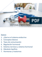 U.f.6 Sistema Endocrino