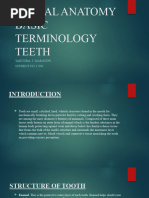 Human Tooth Structure and Types | PDF | Human Tooth | Dental Anatomy