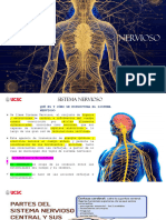 SISTEMA NERVIOSO 
