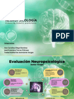 Organizador Visual La Evaluación Neuropsicológica