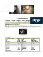 Historias Clinicas Veterinarias Casos Reales