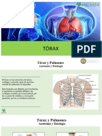 Clase de Torax Cardio