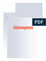Glükoneogenezis