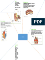 Mapa Semantico de Los Sentidos.