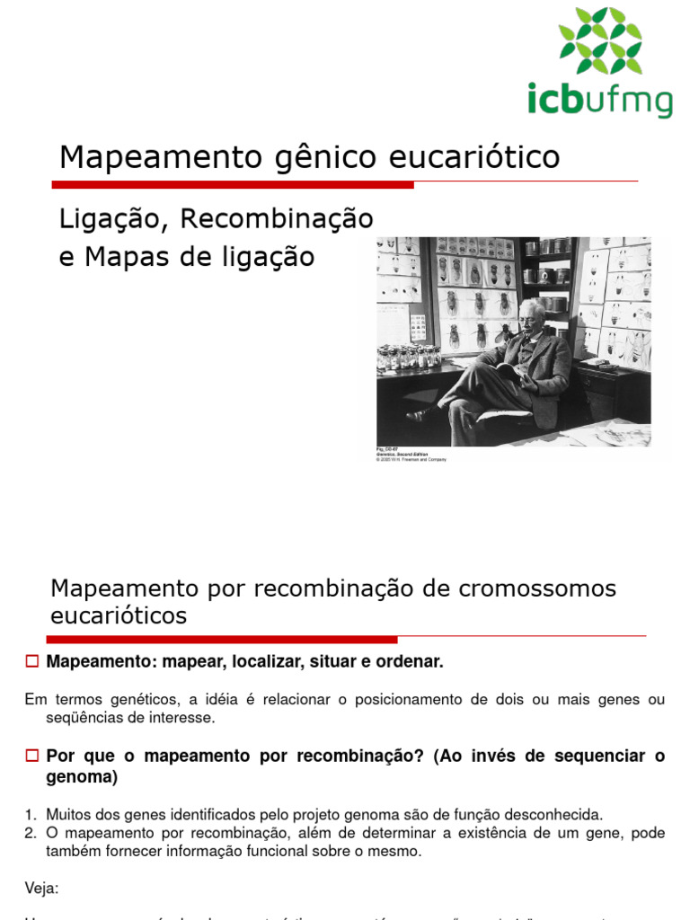 Mapeamento Gênico em Eucariontes | PDF | Recombinação genética | Gene