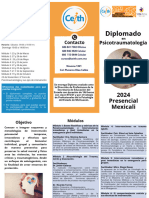 Tríptico DIPLOMADO (2) (2)