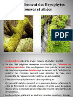 TD N°4 Bryophytes et Ptéridophytes 2020