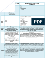 Cuadro Comparativo Aparato Reproductor Masculino y Femenino 4