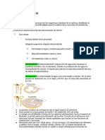 Sistema Excretor