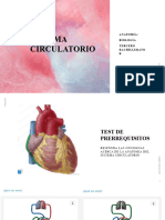 Sistema Circulatorio