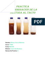 Practica 11 DETERMINACIÓN DE LA TEXTURA AL TACTO