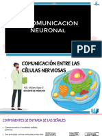 T.7 - Comunicación Entre Células Nerviosas - Gliales
