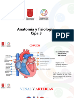 Tema 3 Anatomia