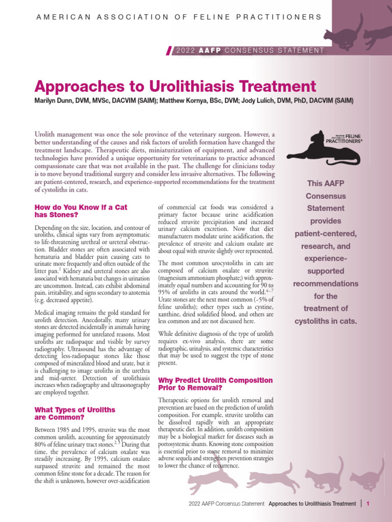 Urolithiasis Treatment in Cats AAFP Guide PDF Urology