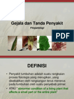 Gejala Dan Tanda Penyakit