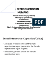 Sexual Reproduction in Humans