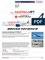 Boeing 737 MAX 8 Anadolujet