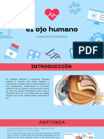 El Ojo Humano