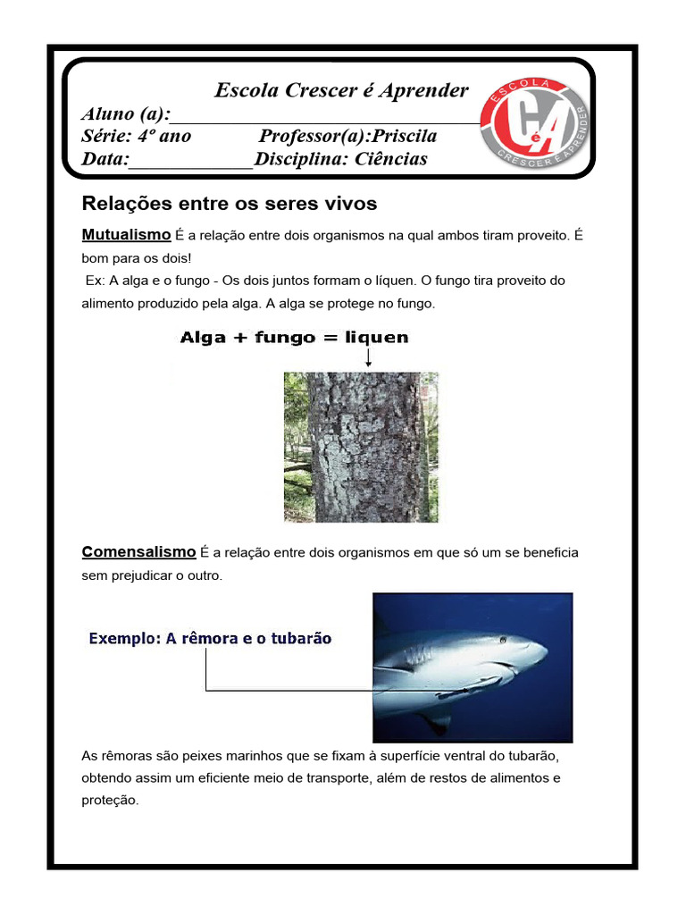 Atividades sobre Relações Ecológicas 4º Ano | PDF | Biologia | Organismos