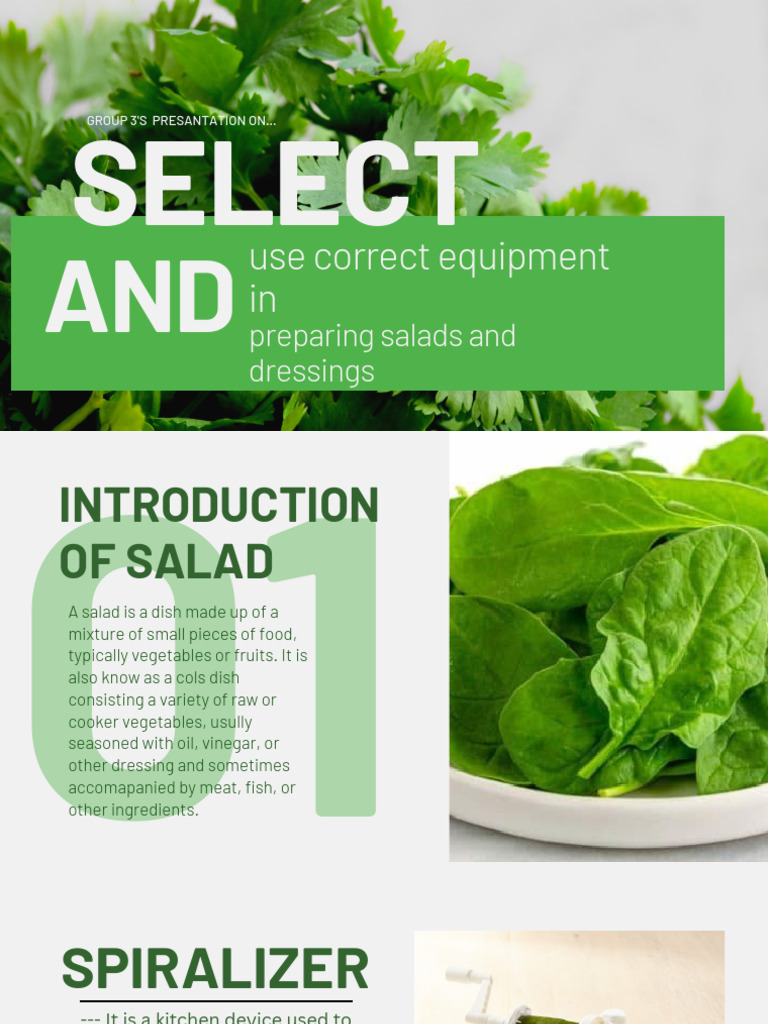 Essential Equipment for Salad Prep | PDF | Salad | Food Processor