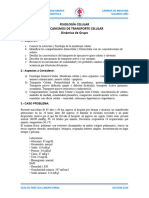 Guia Practica Fisiologia Celular - Electrolitica