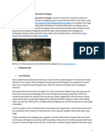 Proposal Ternak Kelinci PDF Free