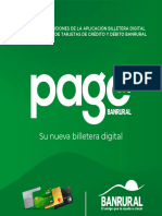 Terminos Pago