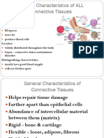 Connective Tissues