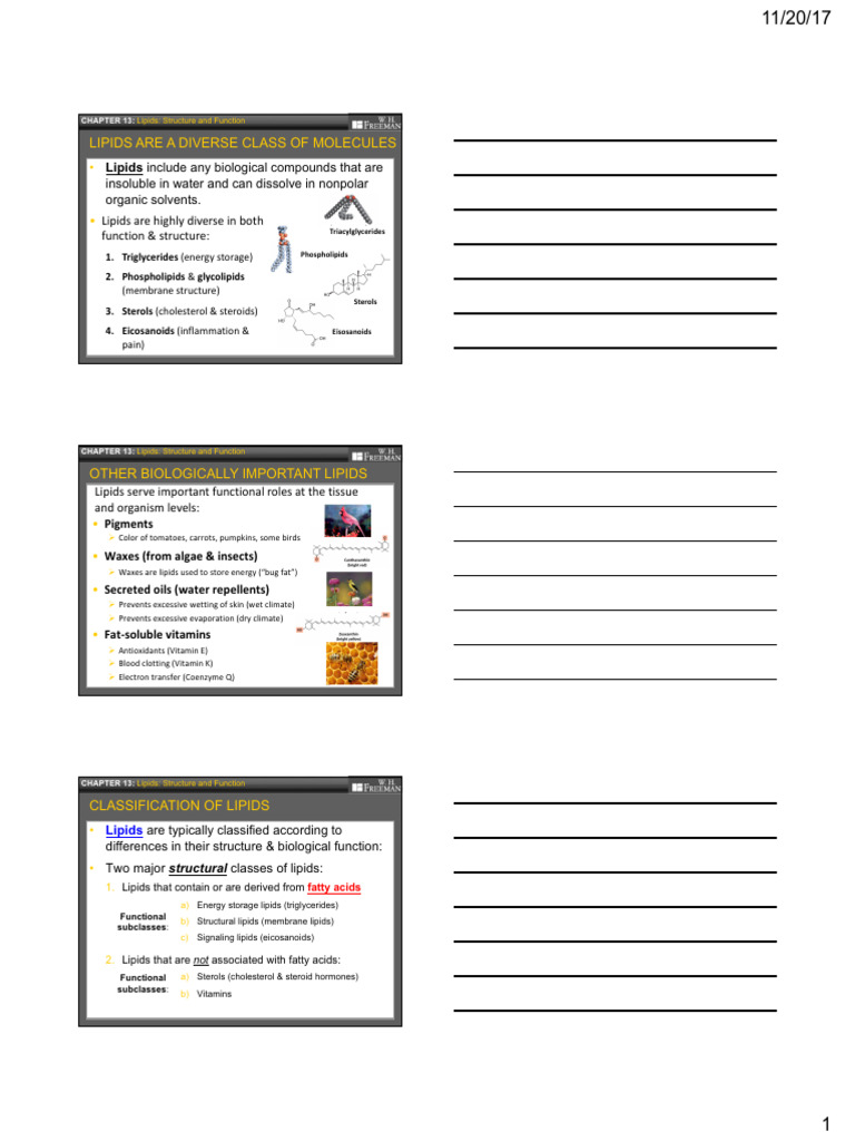 Chapter+13+Slides | PDF | Lipid | Fatty Acid