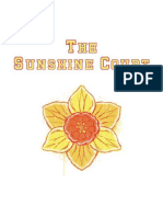 The Sunshine Court