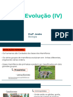 Biologia - Evolução (IV)-32d81176978fc282406609146d6eb8fa