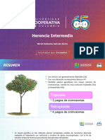 Herencia Intermedia