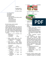 Soal Tematik Tema 7