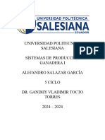 Informe Sistemas