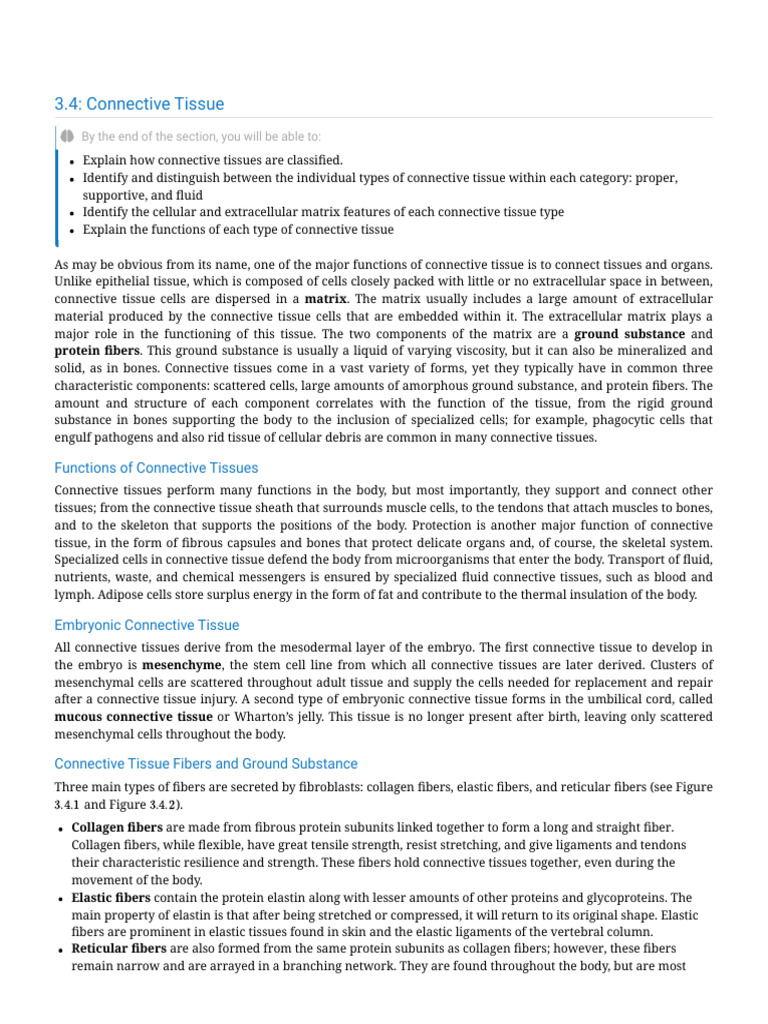 3.4 - Connective Tissue - Medicine LibreTexts | PDF | Connective Tissue ...