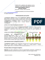 Propagacion plantas 9º