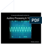 AuditoryProcessing&Tinnitus 01