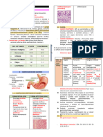 CANCER GASTRICO