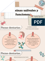 Presentacion para Proyecto Moderna Marron