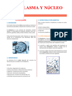 Citoplasma y Nucleo