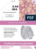 Glandulas y Mucosa - Orofacial - 12-00 - 12-59 - MichelMH - 202347070 - Compressed