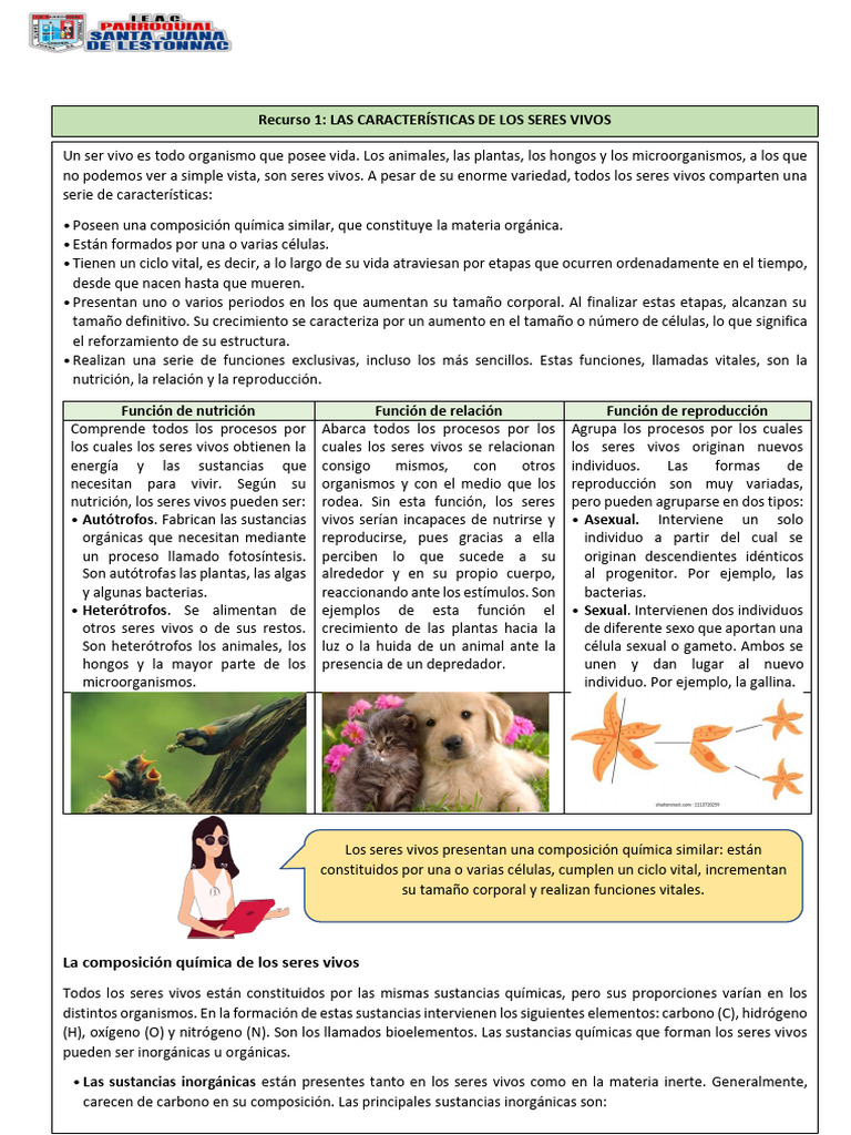 1° Recurso 1 Las Características de Los Seres Vivos | PDF | Organismos ...