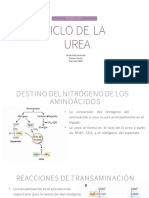 Ciclo de La Urea