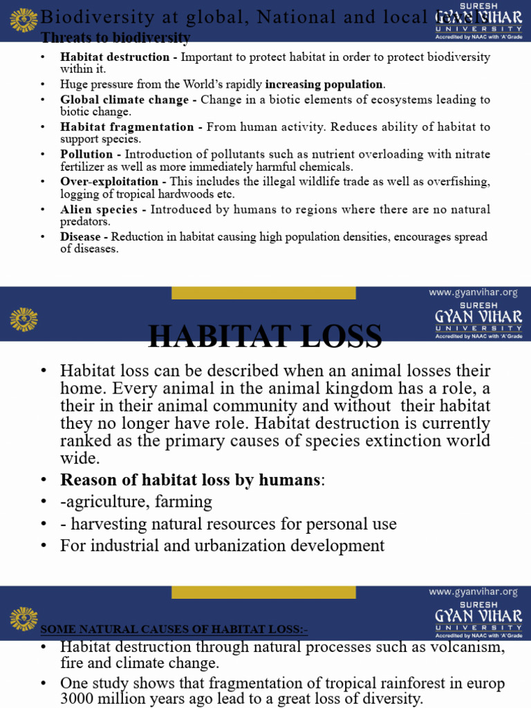 Threats and Solutions to Biodiversity | PDF | Habitat Destruction | Habitat